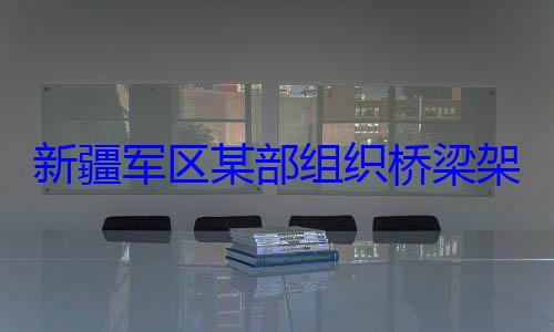 部组织桥梁架设训练图新疆军区某