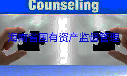 理委员会党委副书记王海南省国有有福接受审资产监督管查调查